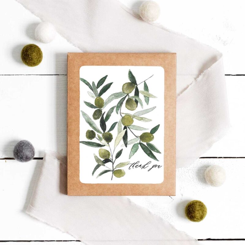 Olive Branch Thank You Cards