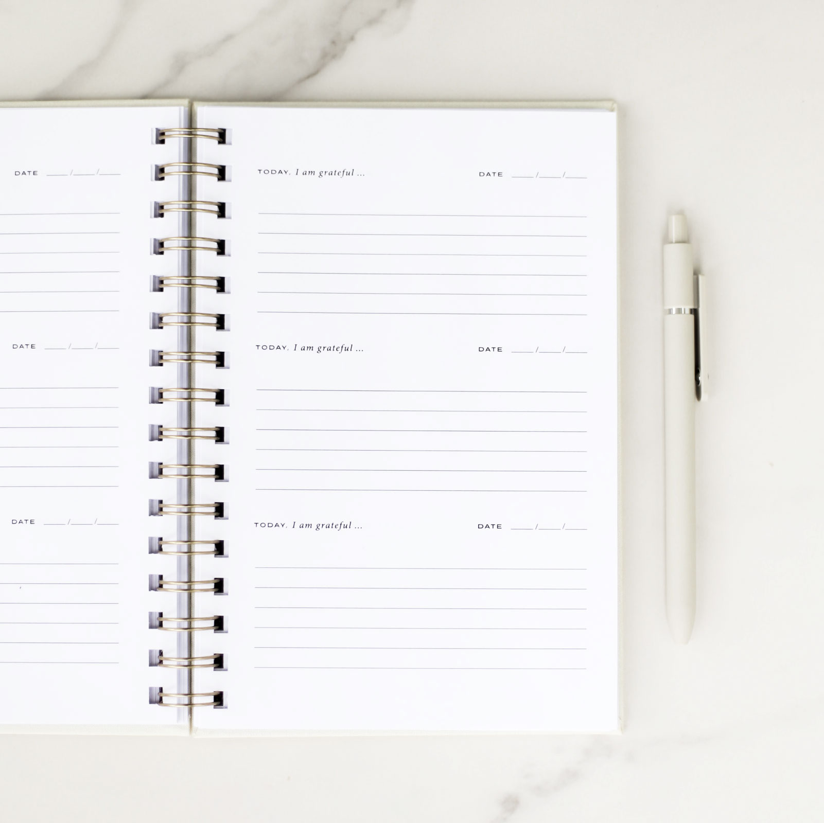 Gratitude-Journal Example Pages