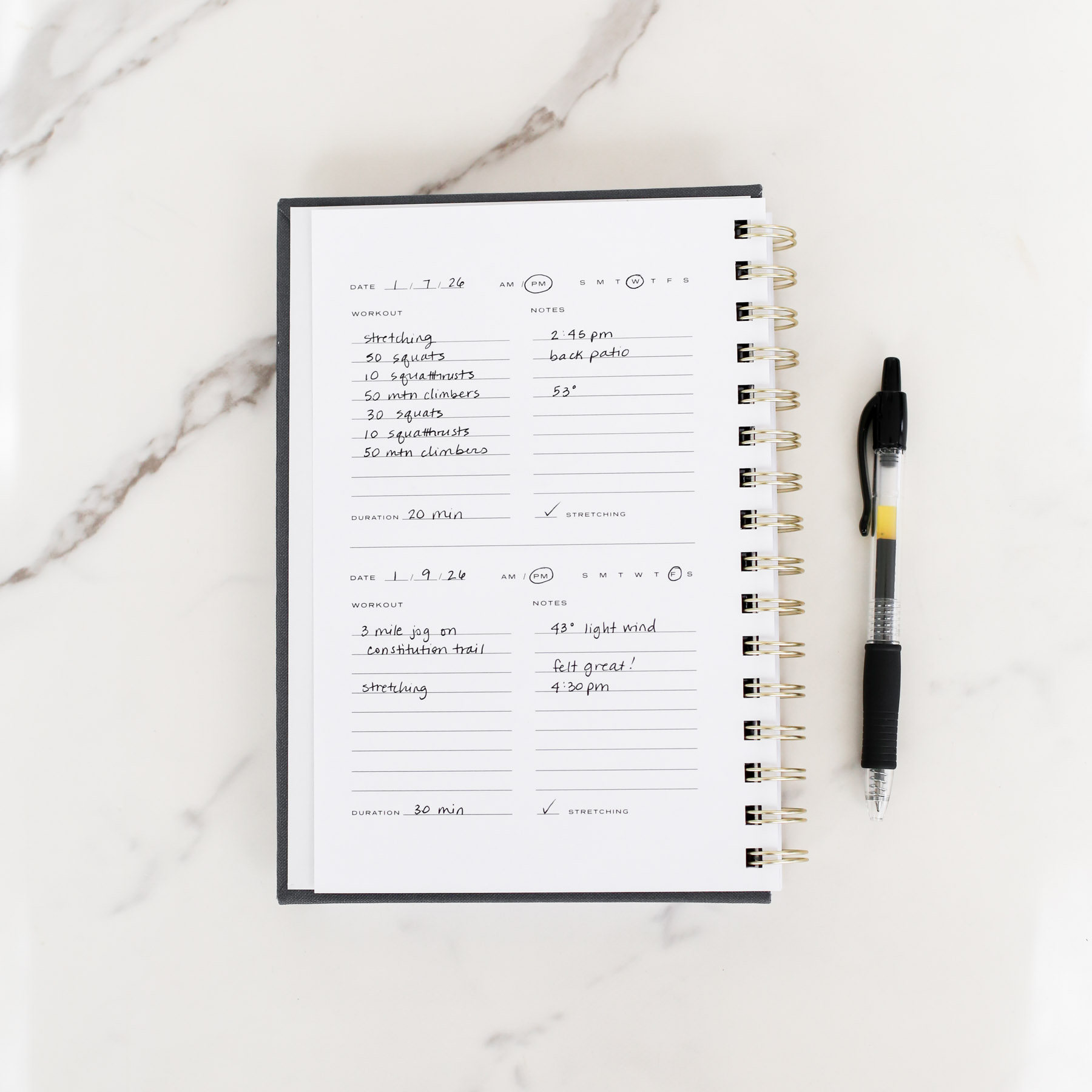 Workout Log example entry